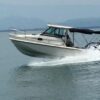   1989 Boston Whaler Revenge 25