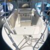  2000 Sea Fox 230c